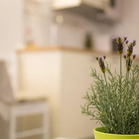 Casa Vecchia Appartamento Rovigno