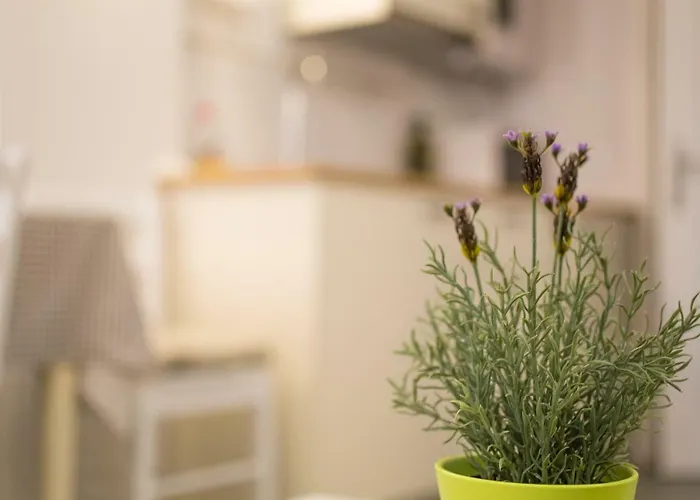 Casa Vecchia Daire Rovinj